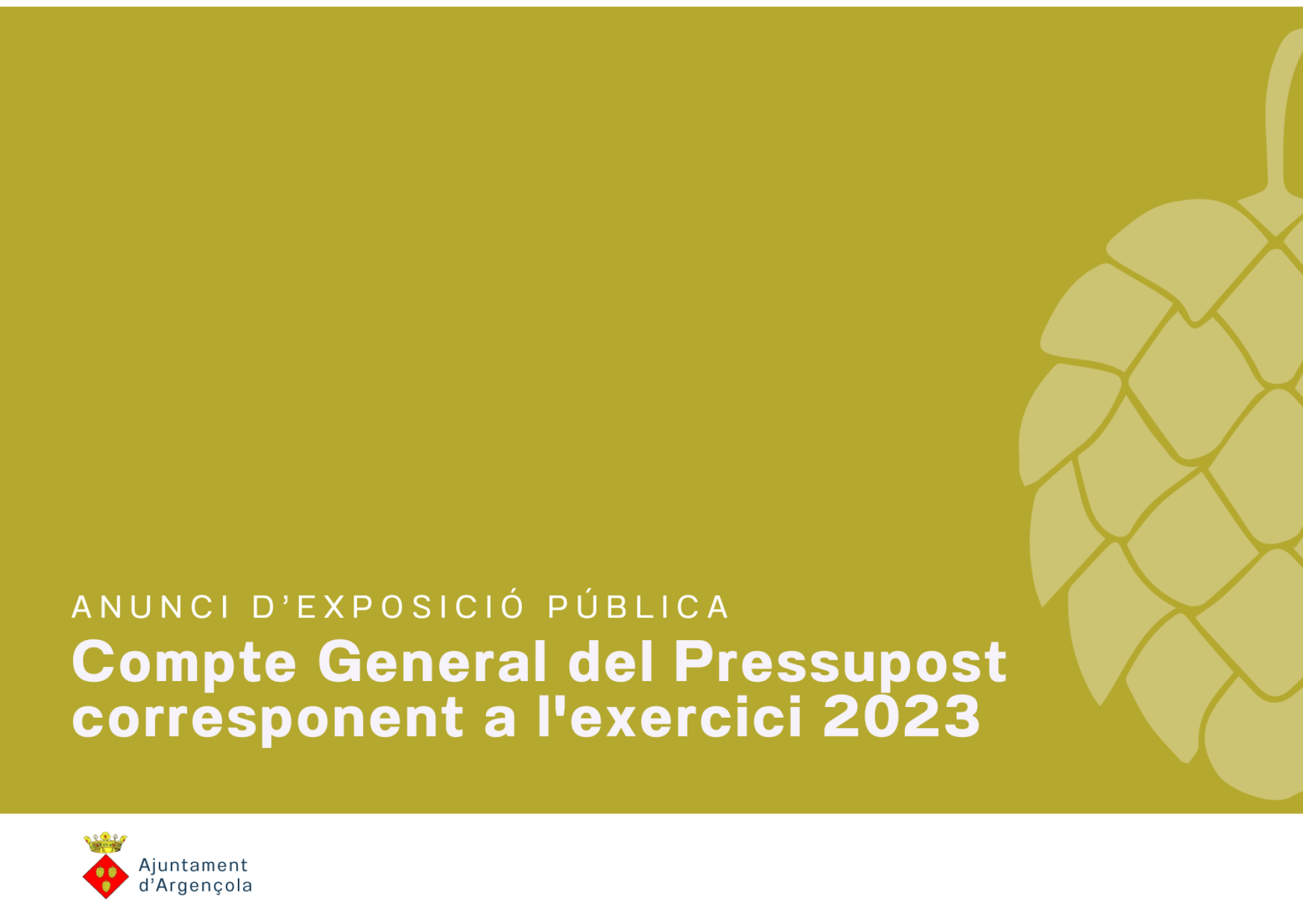 Exposició pública: Compte General del Pressupost corresponent a l'exercici 2023