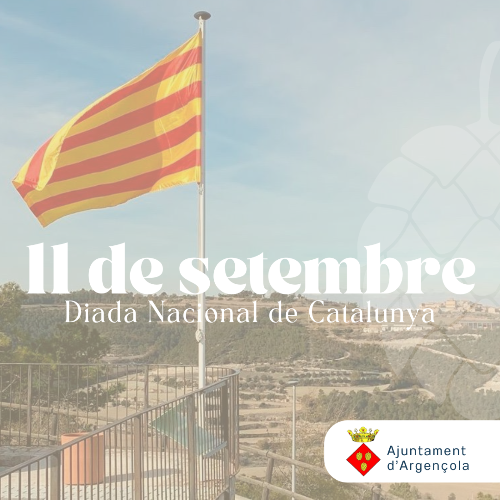 Diada Nacional de Catalunya | Comunicat